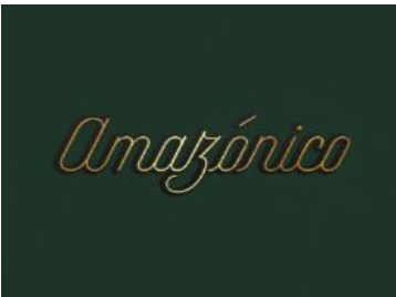 Logotipo de Amazónico
